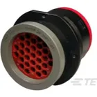 HDP24-24-31PT-L017 by TE Connectivity
