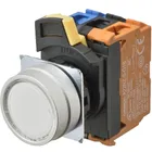 A22NL-MNA-TWA-G101-WD by Omron
