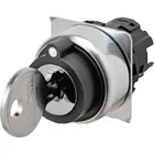 A22NK-2RL-01BA-G100 by Omron