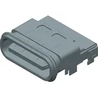 2178040001 by Molex