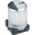 EEEHB1H100AP by Panasonic