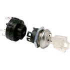 A216132Y2NZNQ by C & K Components