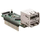 V2DIP2-32 by FTDI