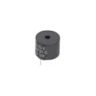 BRT1209P-06-C by International Components