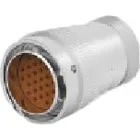 HD36-24-31PE-072 by TE Connectivity