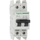 60139 by Schneider Electric Sa
