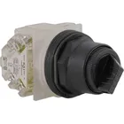 9001SKS11BH2 by Schneider Electric Sa