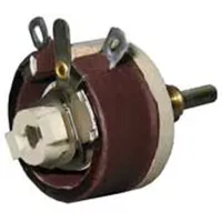 RES100 by Ohmite Manufacturing
