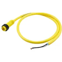 1300060156 by Molex
