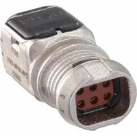 D369-MP66-NP0 by TE Connectivity