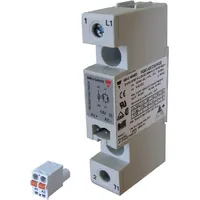 RGS1A60D50MGE by Carlo Gavazzi Holding Ag
