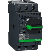 GV2P03 by Schneider Electric Sa