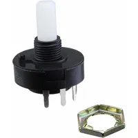 R10307RR02QE by C & K Components