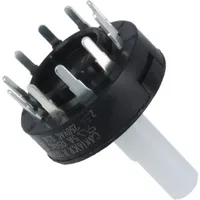 R20407RN02Q by C & K Components