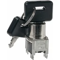 SK22AG13 by Nkk Switches