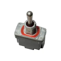 PT107SZQ by C & K Components