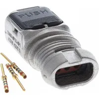 D369-MP33-NP1 by TE Connectivity