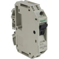 GB2CB06 by Schneider Electric Sa