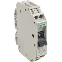 GB2CD06 by Schneider Electric Sa