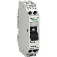 GB2CD08 by Schneider Electric Sa
