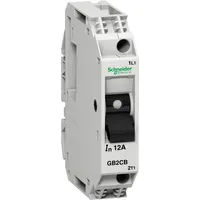 GB2CB14 by Schneider Electric Sa