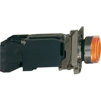 XB4BW3545 by Schneider Electric Sa