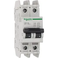 60141 by Schneider Electric Sa
